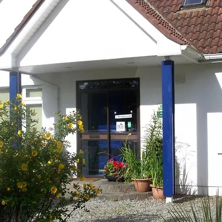 Evergreen Malahide