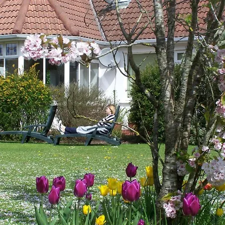 Evergreen Malahide